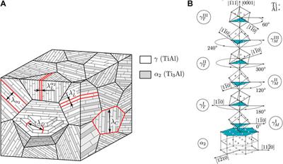 Crystal Plasticity Modeling of Creep in Alloys with Lamellar Microstructures at the Example of Fully Lamellar TiAl